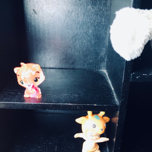 Multi Compartment Display Shelf - Picture 3 of 12